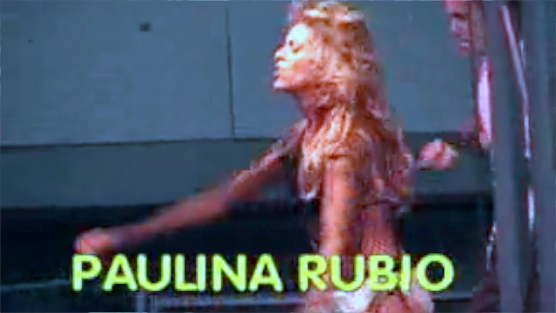 Gallery of Work: Paulina Rubio